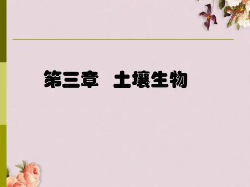 环境土壤学之土壤生物概述(PPT 60页)