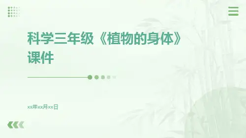 科学三年级《植物的身体》课件