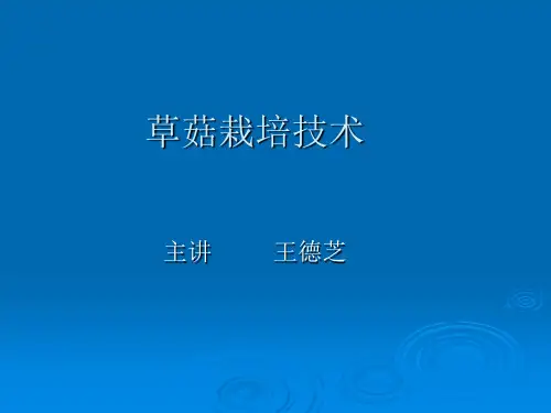 草菇栽培技术1