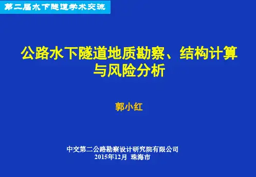公路水下隧道地下勘察