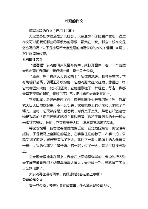 描写公鸡的作文（通用14篇）