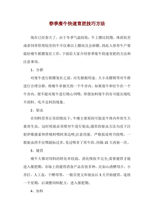 春季廋牛快速育肥技巧方法