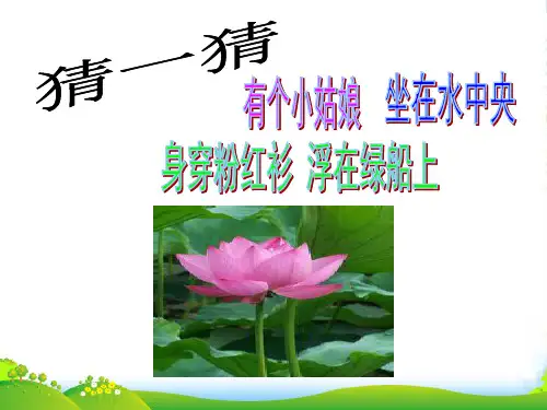 人教版一年级美术：花儿寄深情3-优质课件