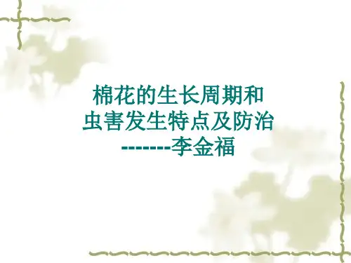 棉花的生长周期和虫情发生特点及防治