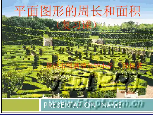 平面图形的周长和面积(复习课)