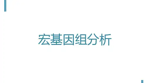 宏基因组分析教程