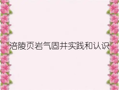 涪陵页岩气固井实践和认识