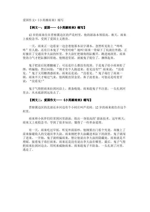 爱国作文-《小英雄雨来》缩写