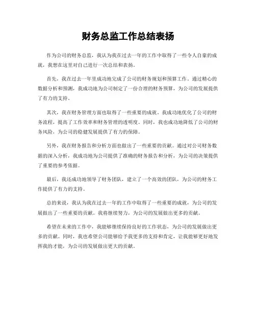 财务总监工作总结表扬