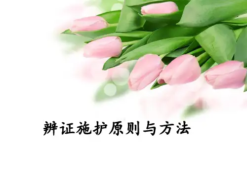 辩证施护[优质PPT]