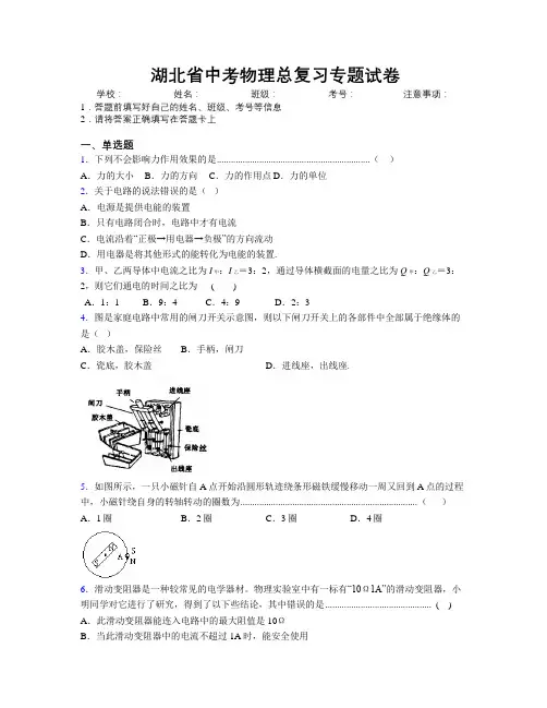 湖北省中考物理总复习专题试卷附解析