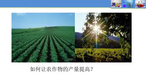 人教化学选修2第4单元课题1化肥和农药(共16张PPT)