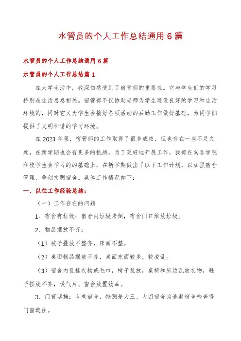水管员的个人工作总结通用6篇