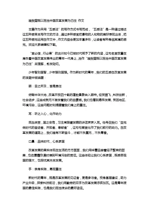 唯我辈既以担当中国改革发展为己任 作文