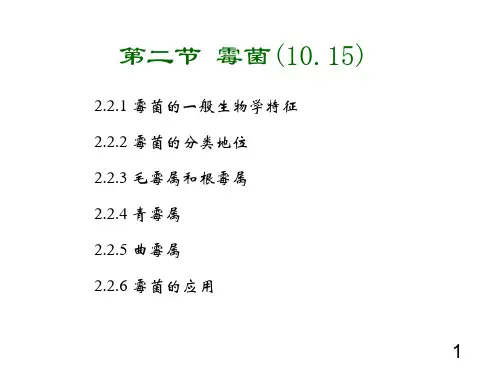 微生物课件第二章-霉菌精选全文