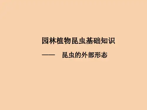 【精品课件】园林植物病虫害防治课件
