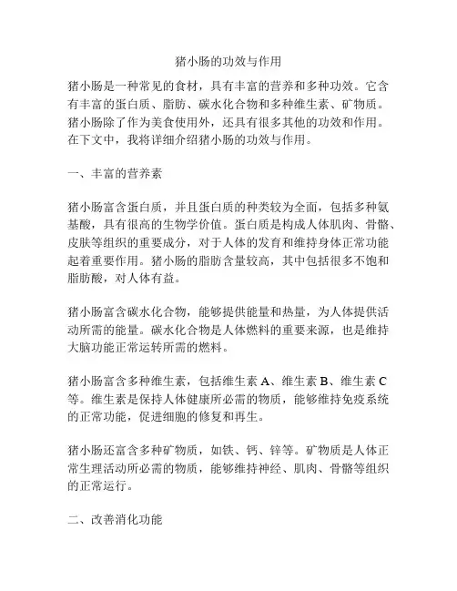 猪小肠的功效与作用