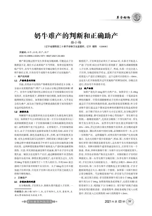 奶牛难产的判断和正确助产