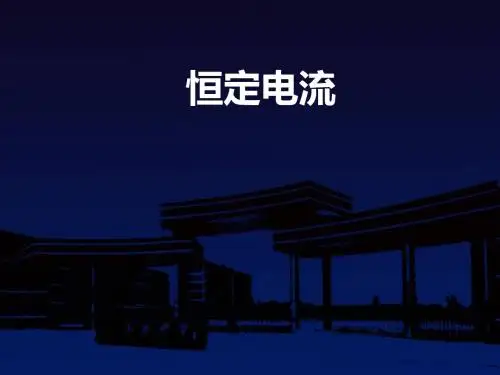 [理化生]高二物理恒定电流复习精品
