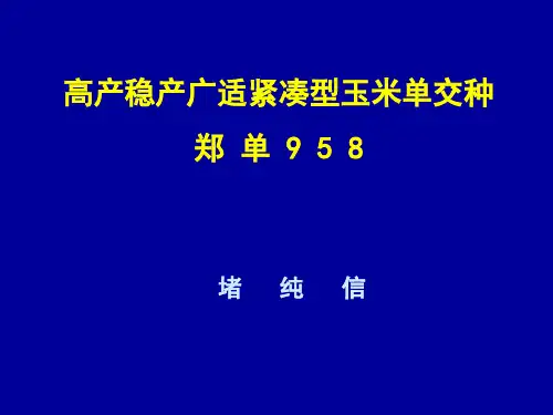堵纯信--郑单958