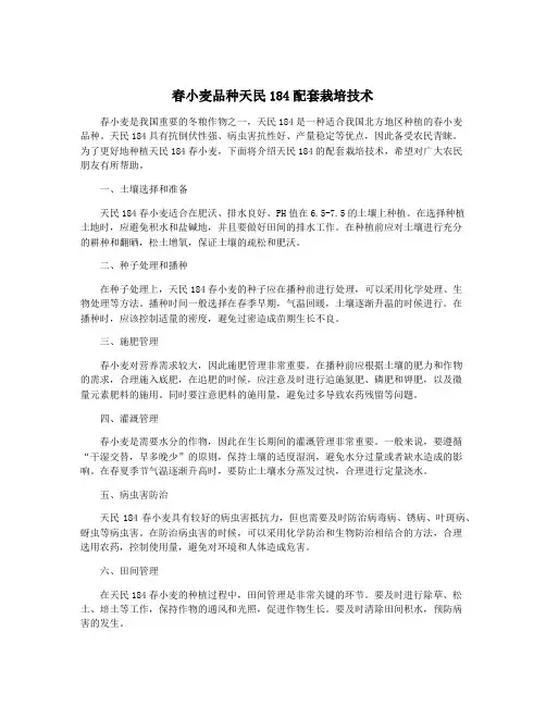 春小麦品种天民184配套栽培技术