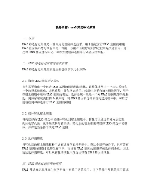 ura3筛选标记原理