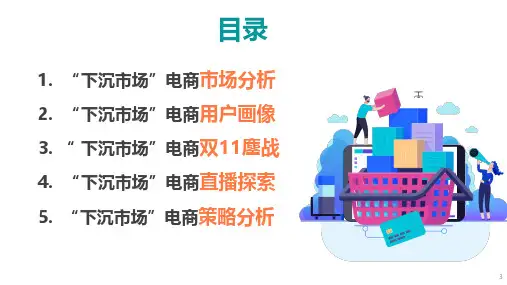 0442  2019年电商“下沉市场”研究报告(28页)