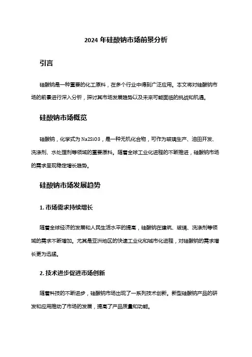 2024年硅酸钠市场前景分析
