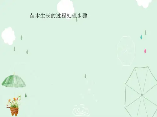苗木生长的过程处理步骤ppt课件