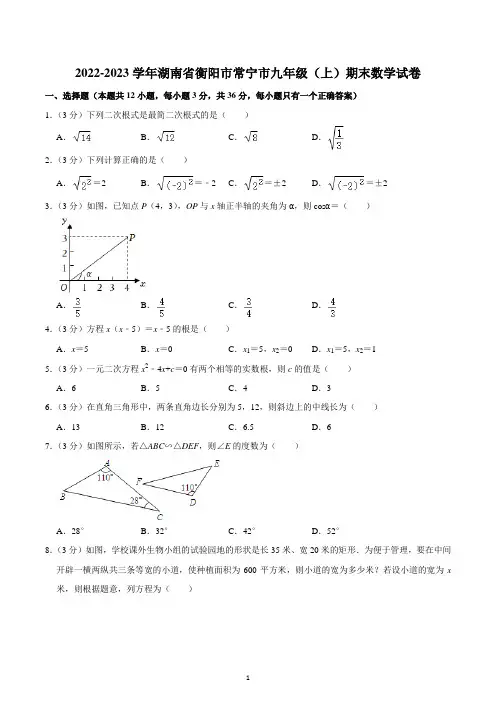 2022-2023学年湖南省衡阳市常宁市九年级(上)期末数学试卷