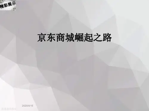 京东商城崛起之路