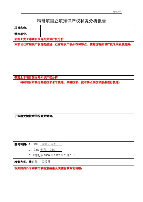 知识产权分析报告模板