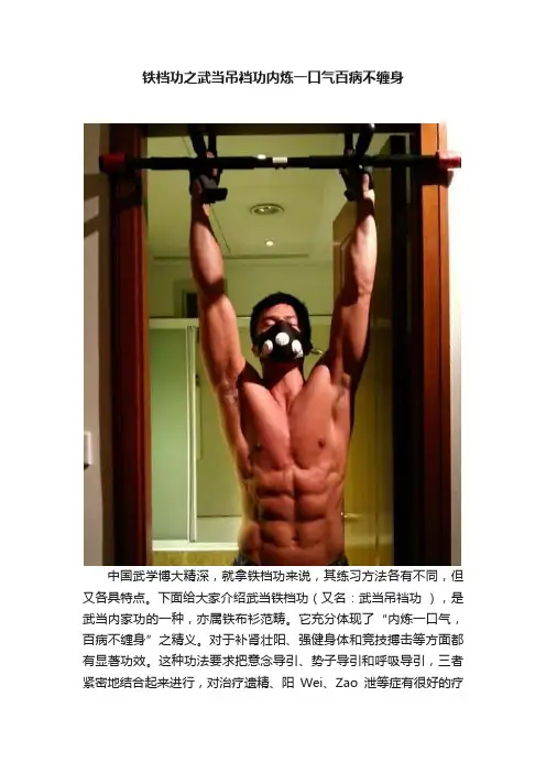 铁档功之武当吊裆功内炼一口气百病不缠身
