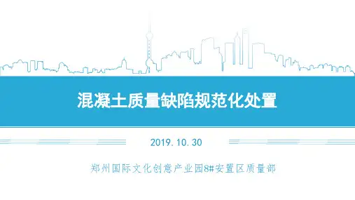 混凝土质量缺陷规范化处置