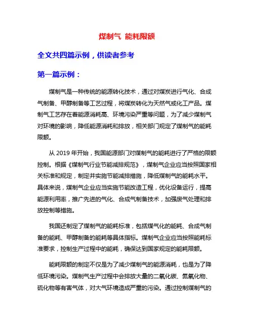煤制气 能耗限额