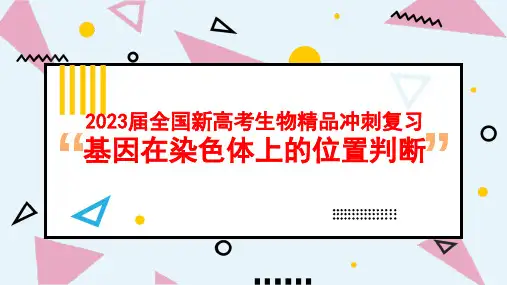 2023届全国新高考生物精品冲刺复习 基因在染色体上的位置判断