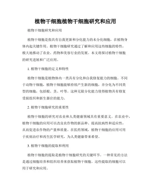 植物干细胞植物干细胞研究和应用