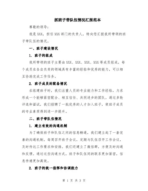 抓班子带队伍情况汇报范本