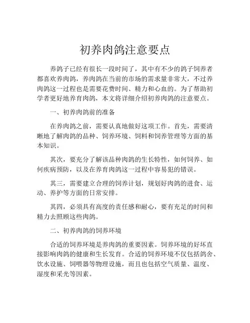 初养肉鸽注意要点