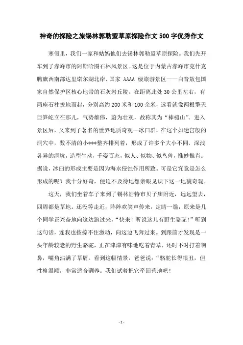 神奇的探险之旅锡林郭勒盟草原探险作文500字优秀作文