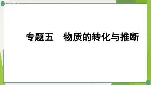 中考化学第二轮复习物质的转化与推断精品课件