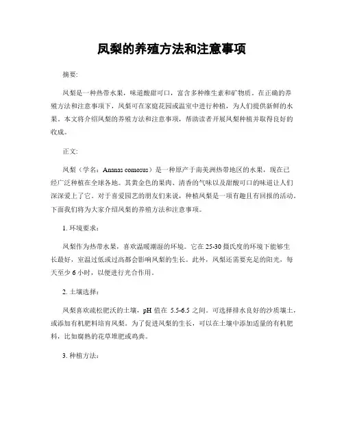 凤梨的养殖方法和注意事项