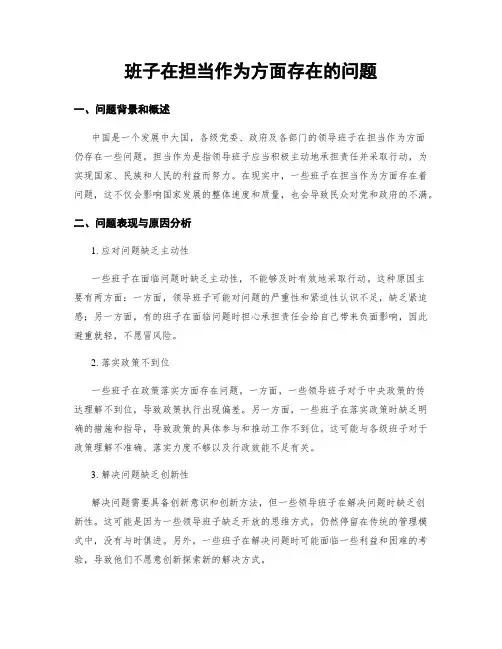 班子在担当作为方面存在的问题