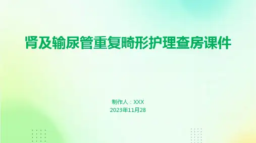 肾及输尿管重复畸形护理查房课件