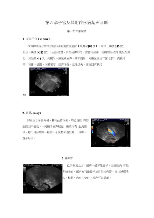 超声诊断学教程第六章子宫及其附件疾病超声诊断