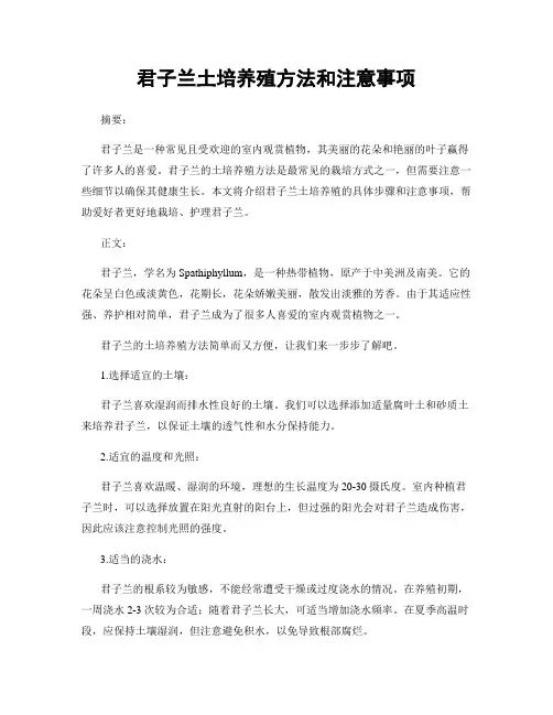 君子兰土培养殖方法和注意事项