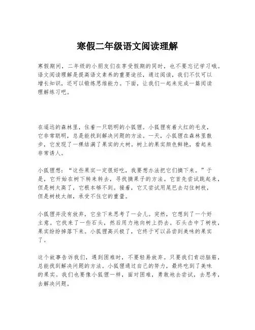 寒假二年级语文阅读理解