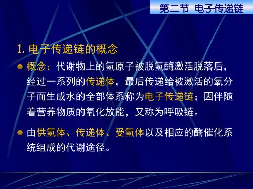 生物化学生物氧化电子传递链