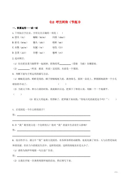 九年级语文下册《12 呼兰河传(节选)》课时训练+基础达标+精练精析 苏教版.doc
