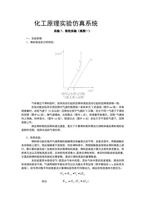 化原仿真实验操作手册-